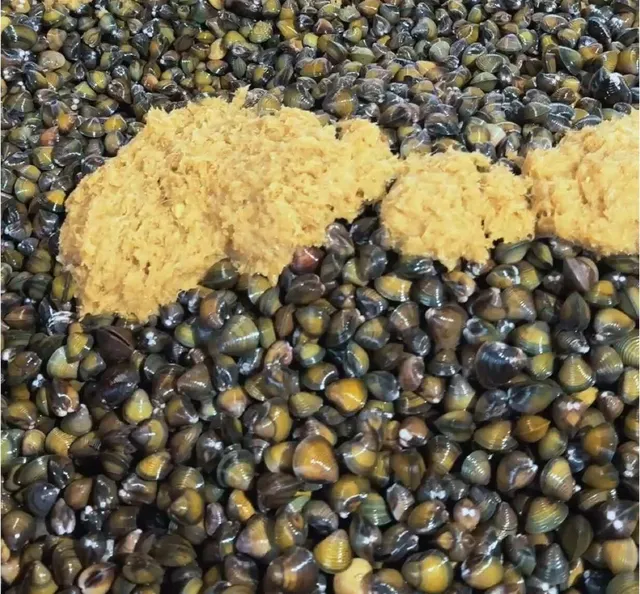 Timbunan etok salai bertabur habuk kayu di tempat salai etok di Pasir Mas