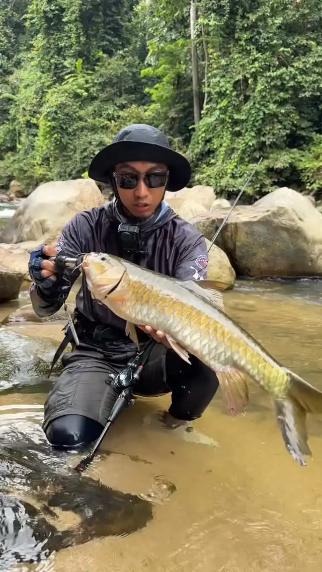 Abe Wea di sungai memegang ikan tengas yang makan popper Kaiko62 Senses Fishing