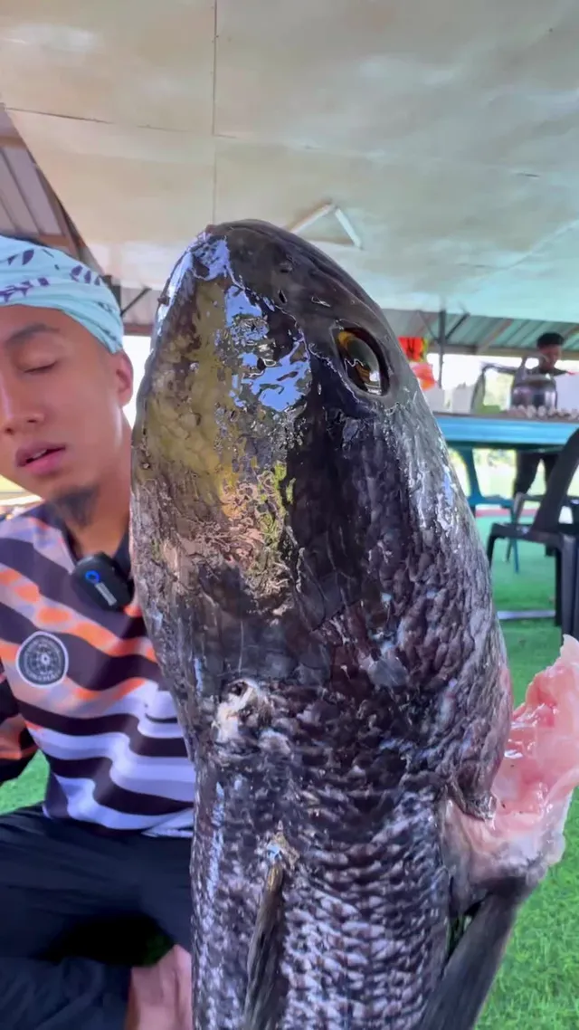 Abe Wea mengangkat ikan toman besar yang sudah dipotong sebahagian
