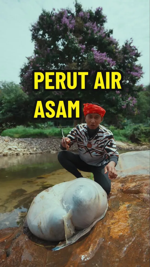 Abe Wea di atas batu tepi sungai di sebelah perut lembu yang besar, dengan tulisan PERUT AIR ASAM