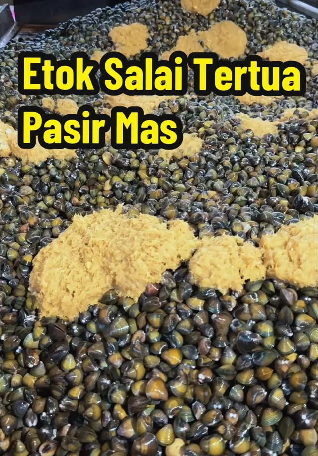 Timbunan etok salai bertabur habuk kayu, dengan tajuk Etok Salai Tertua Pasir Mas