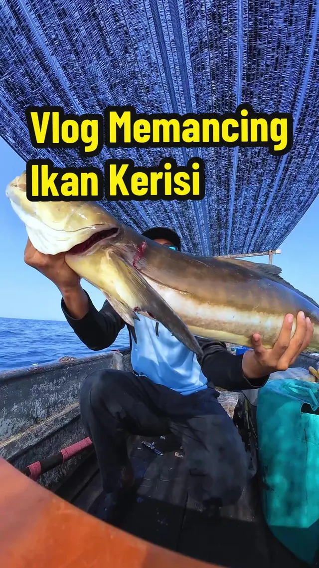 Pemancing di atas bot memegang ikan haruan tasik besar, dengan tajuk Vlog Memancing Ikan Kerisi