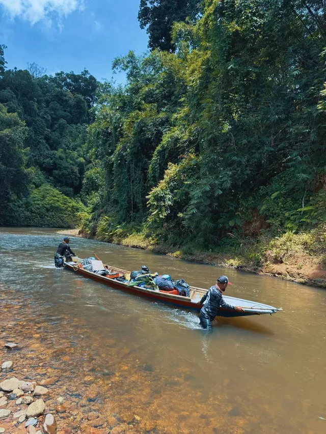 Perahu panjang ditolak di sungai cetek, hutan tebal di kiri dan kanan
