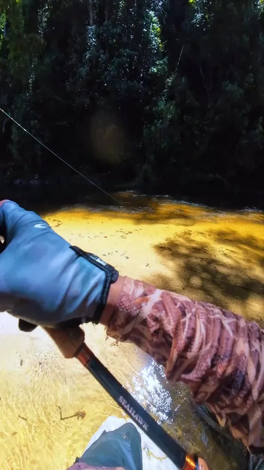 Tangan bersarung memegang joran di atas sungai cetek berwarna keemasan