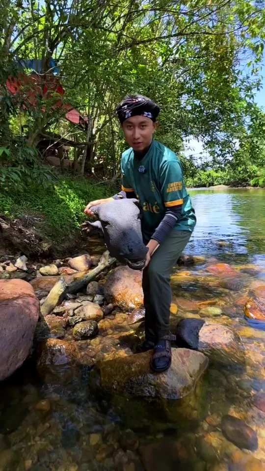 Abe Wea membawa kepala lembu di atas batu sungai