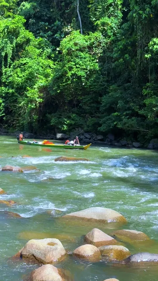 Perahu membawa rombongan mudik jeram sungai dalam hutan, batu besar di depan