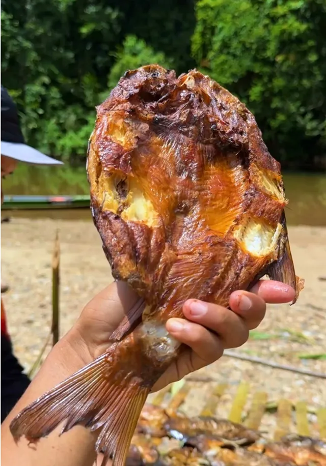 Tangan memegang ikan salai di tebing sungai, ikan salai lain tersusun di bawah