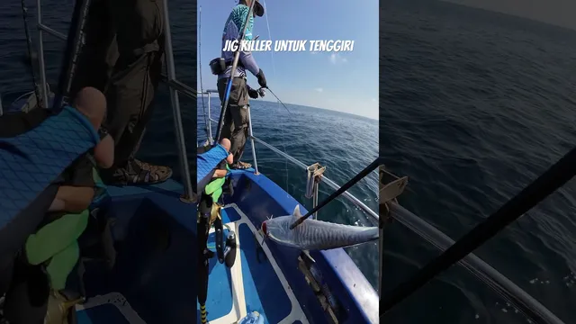 Ikan tenggiri dinaikkan ke tepi bot dengan joran, dengan tajuk Jig Killer untuk Tenggiri